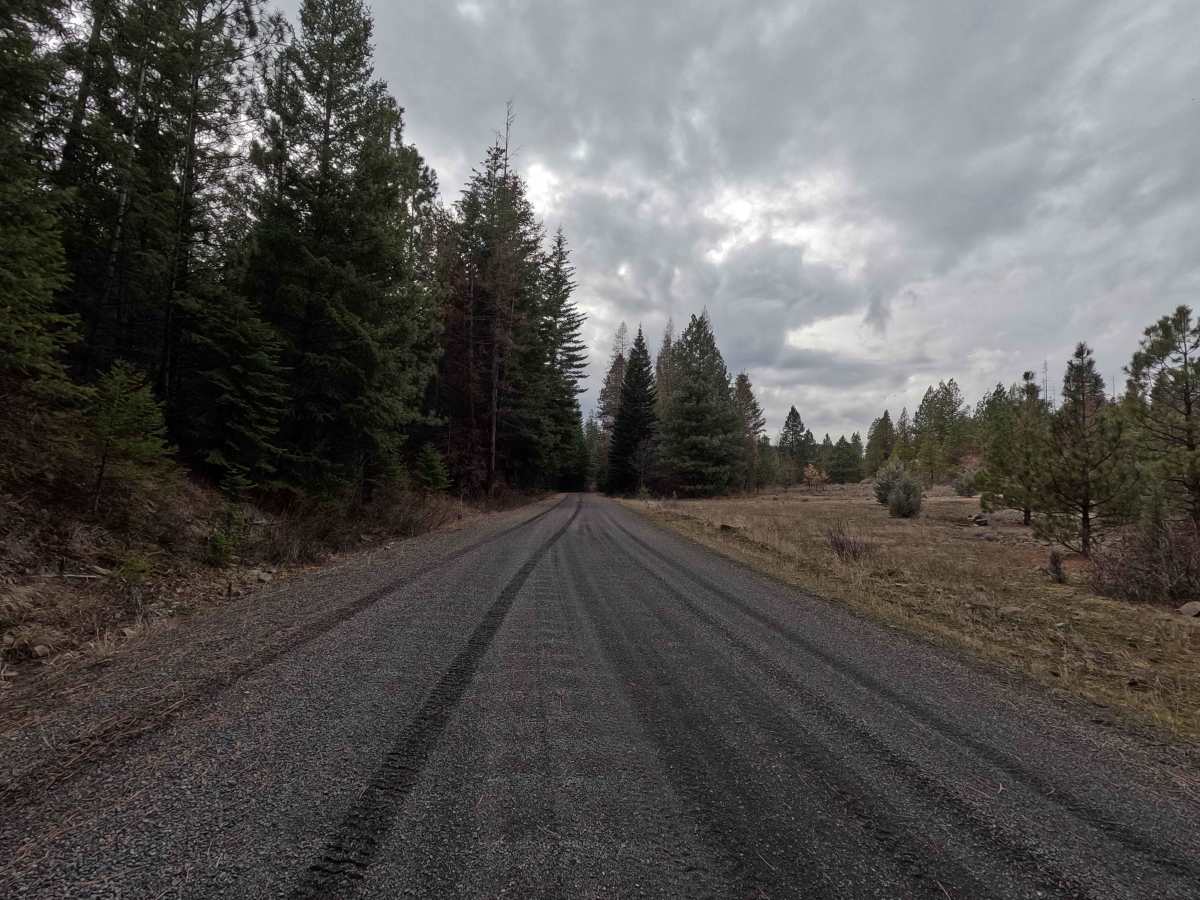 The Old Western Route - FS 21 photo 5
