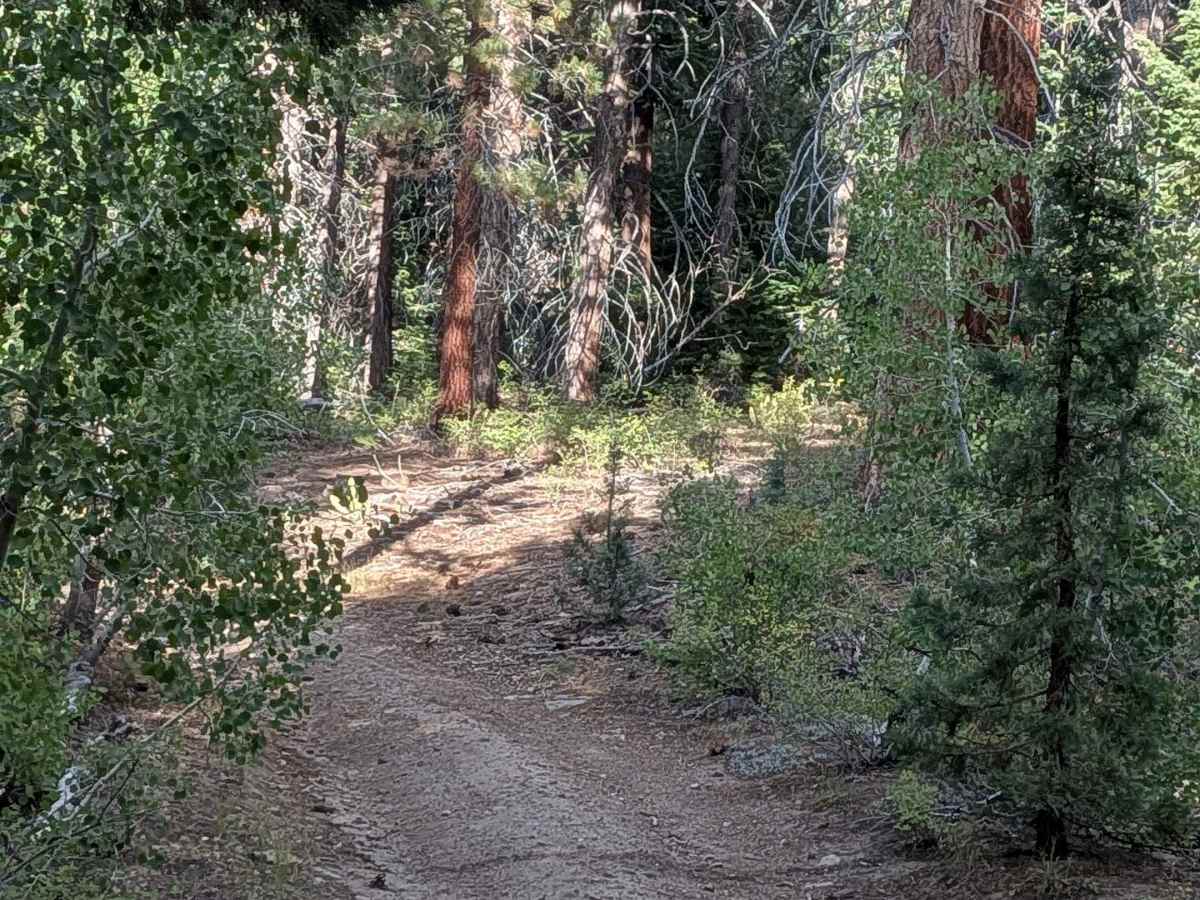 Leviathan Creek photo 2