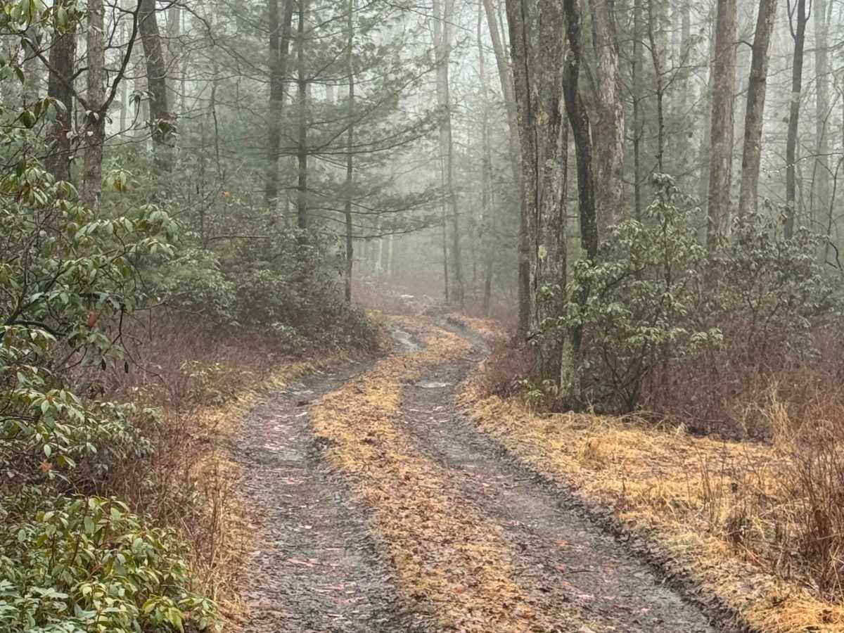 Holland Run Trail photo 5