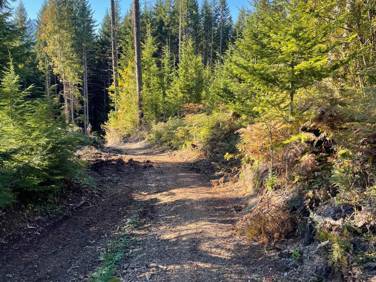 20 Year Trail photo 6