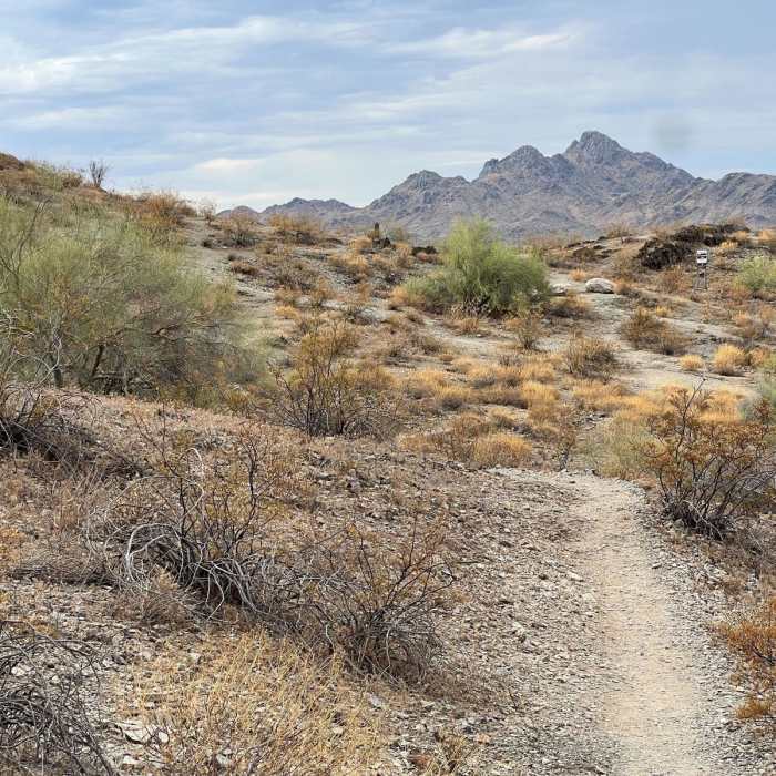Near Shadow Mountain Circumference Trail