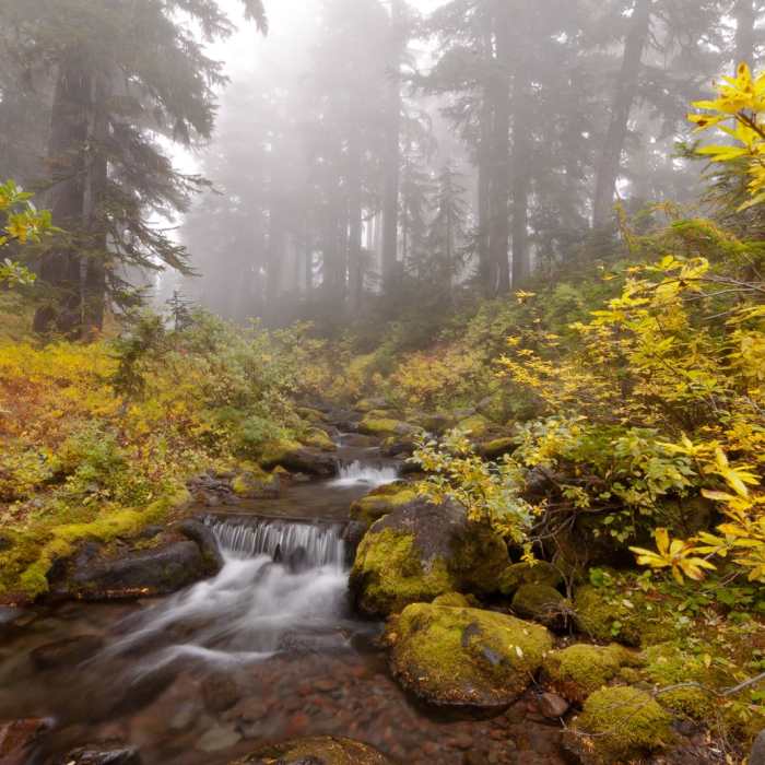 Near Jefferson Park Hike via Park Ridge