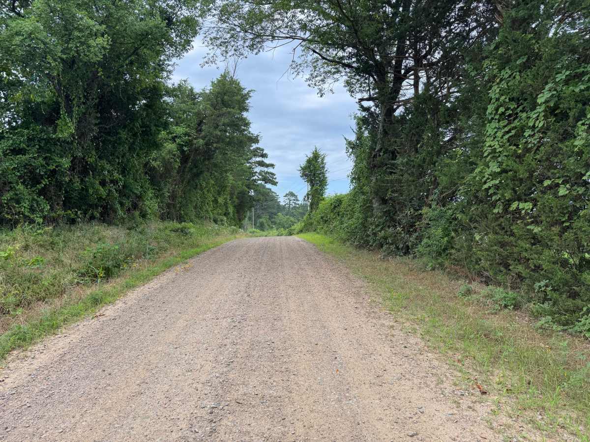 County Road 3491 photo 4