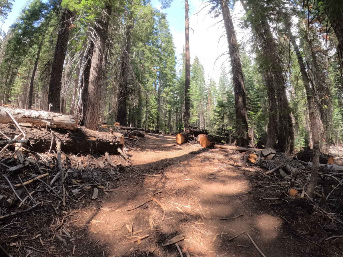 Topping B Spur - FS 22E302 trail photo