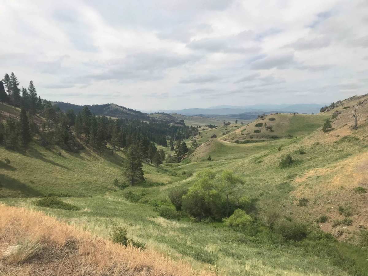 St. Peters Mission trail photo