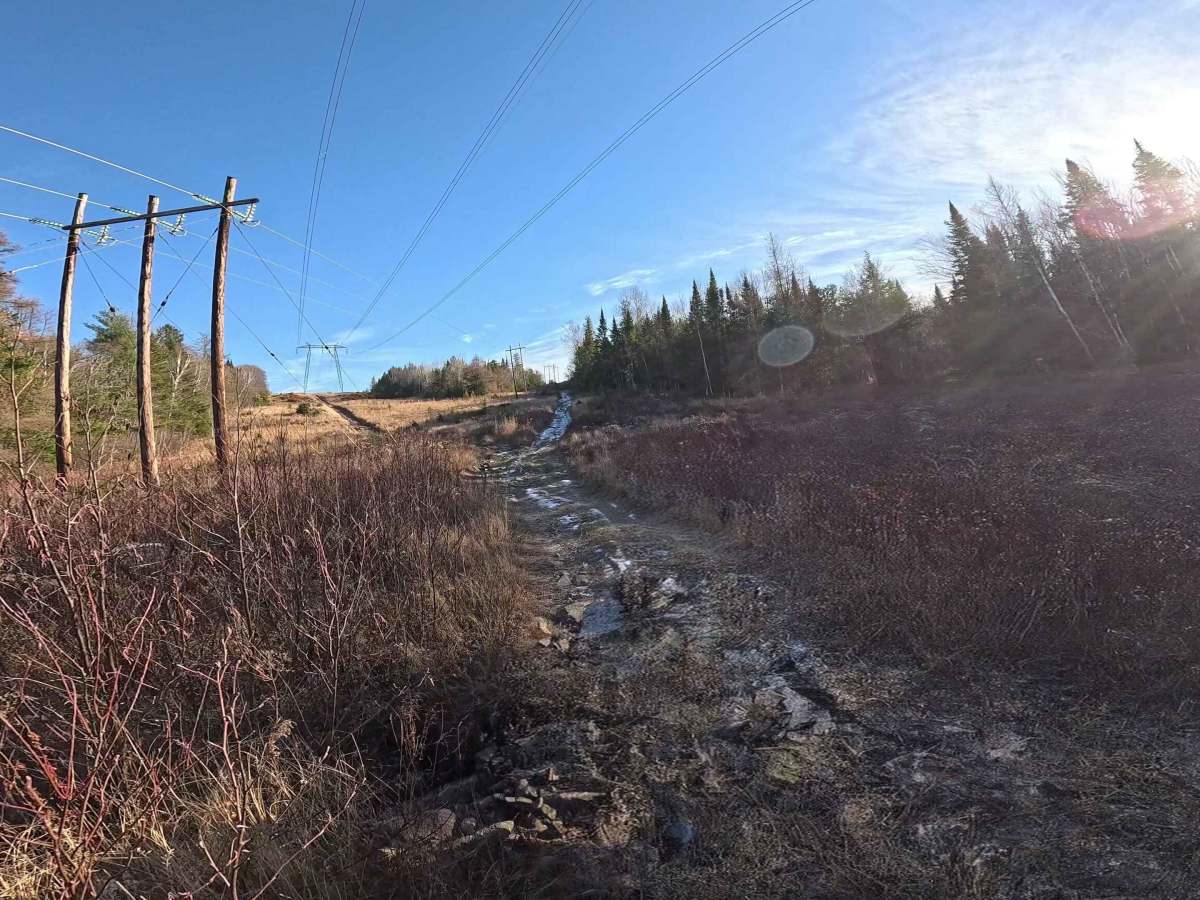 Trip Settlement Easy Hydro Line trail photo