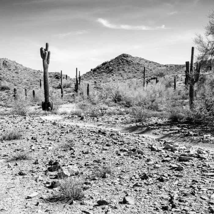 Near Marcos De Niza Trail