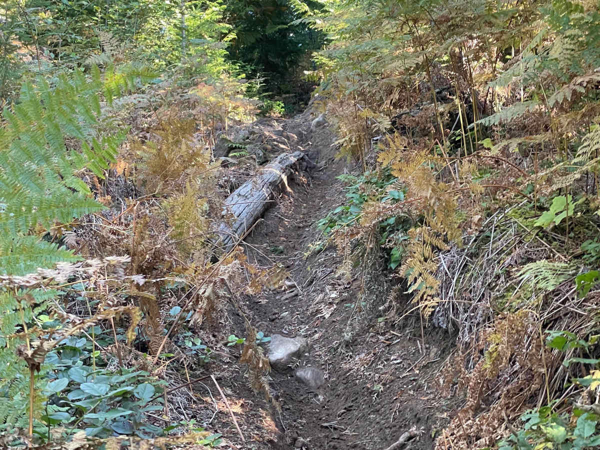 Side Quest trail photo