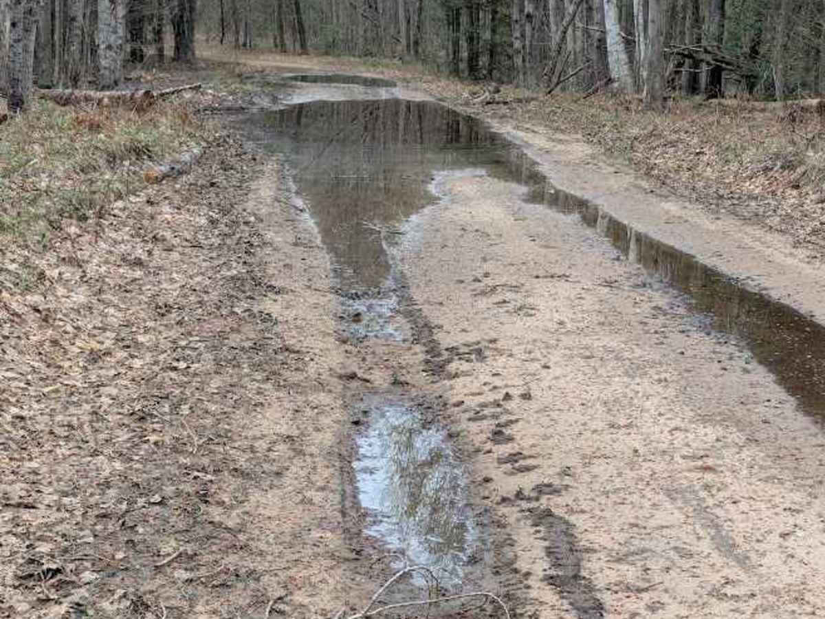 Osceola Trail South photo 4