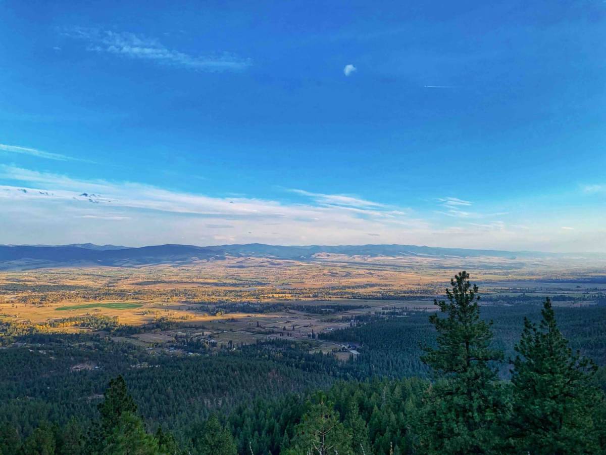 Sweeney Creek Trail photo 6