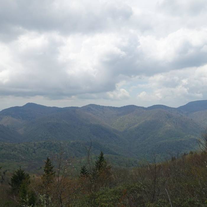 Near Black Balsam Knob via the Fork Mountain Loop Near Black Balsam Knob via the Fork Mountain Loop