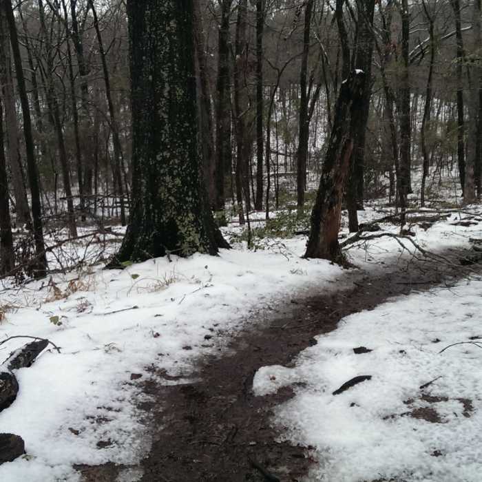 Melting the snow on the Tyler State Park Loops Near Tyler State Park Route