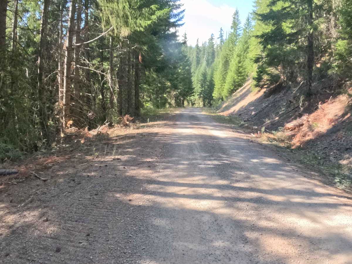 Parish Lake Road - FS 2266000 photo 6