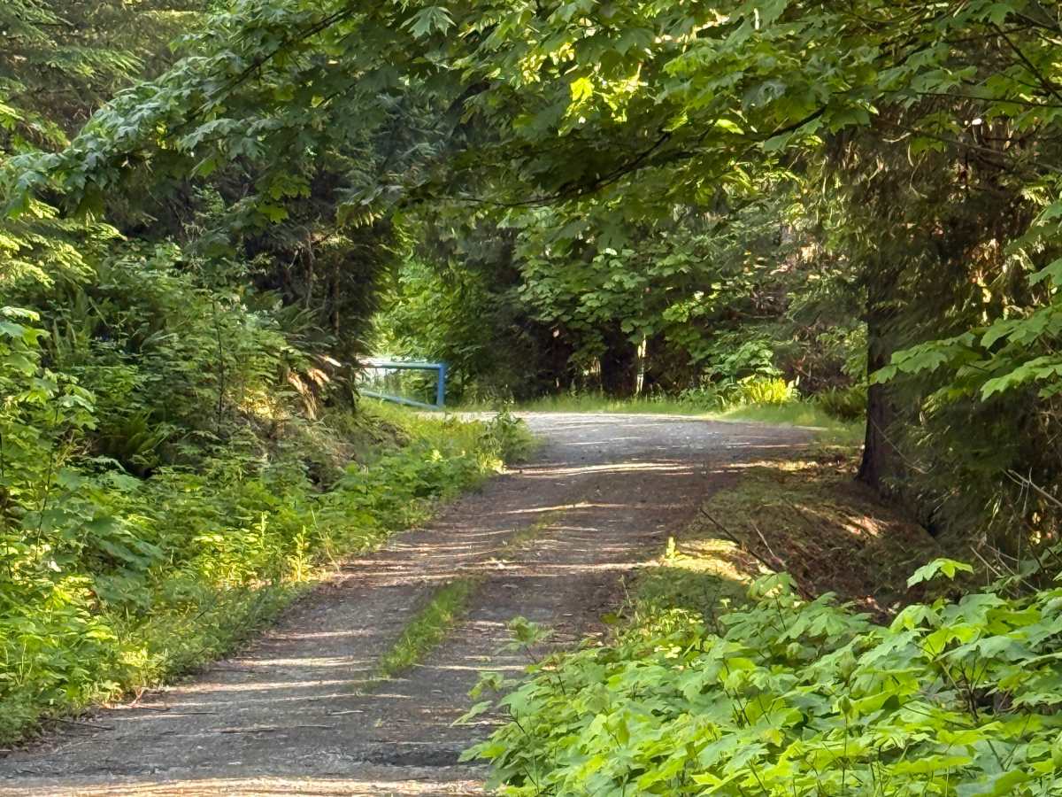 Finney Creek Road Loop photo 3