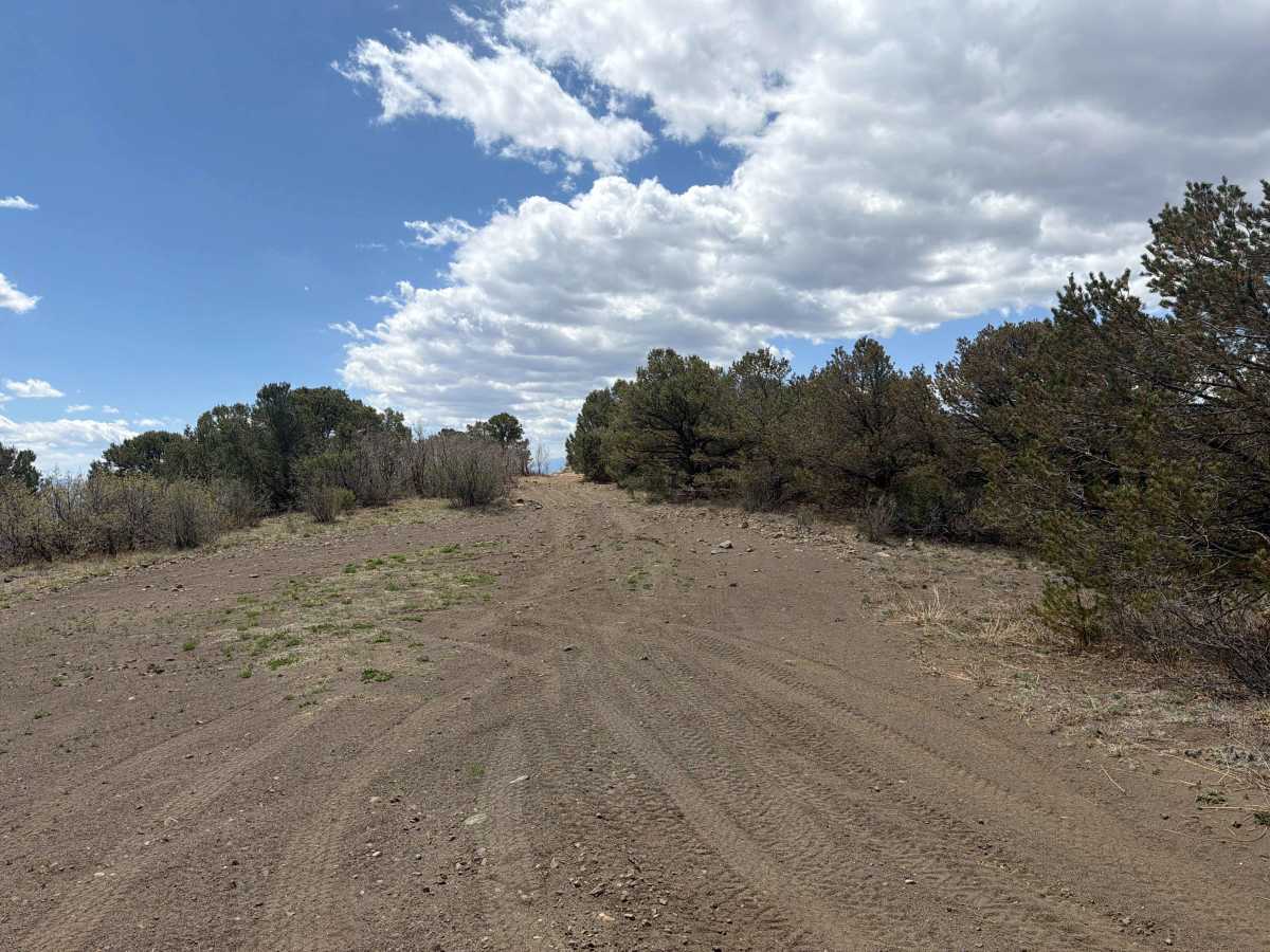 BLM 6055 photo 5