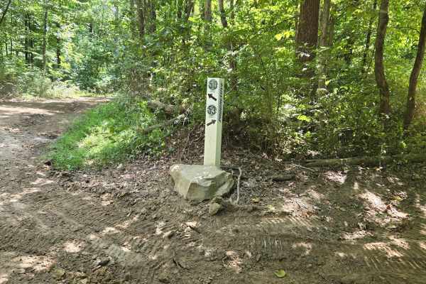 Trail 53