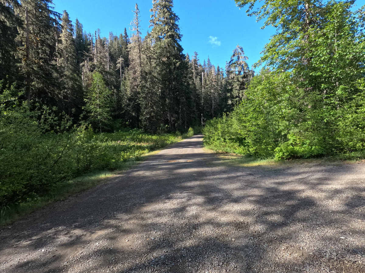 Blue Lake - FS 1230 trail photo
