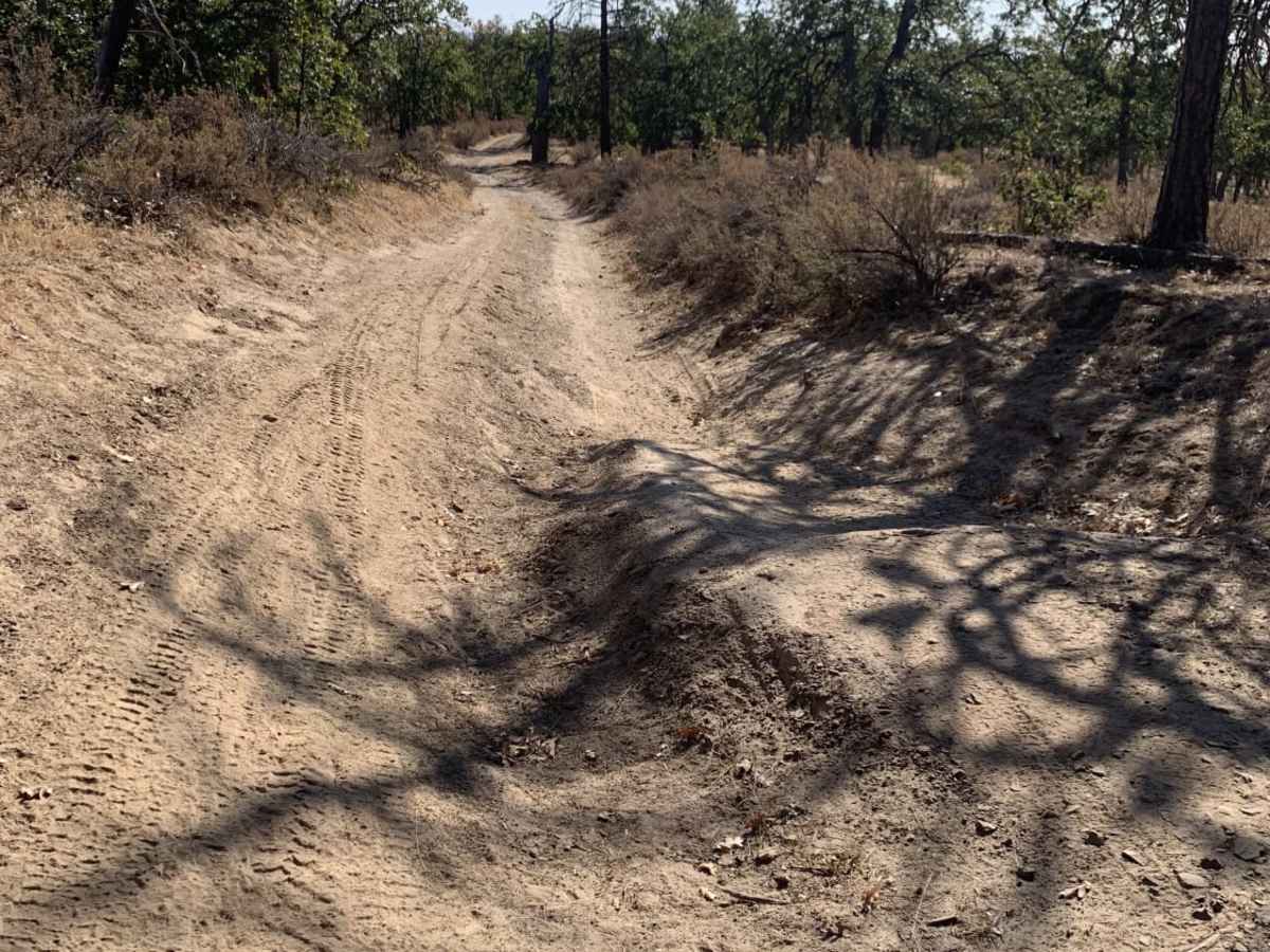 Little Badger Creek South Road trail photo
