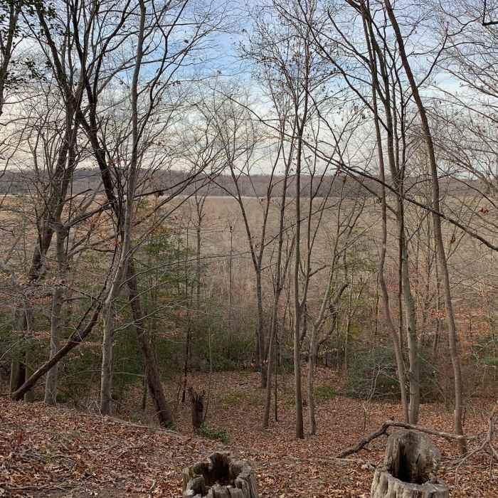 View of the Pautuxent River from the cliffs Near Orange Loop