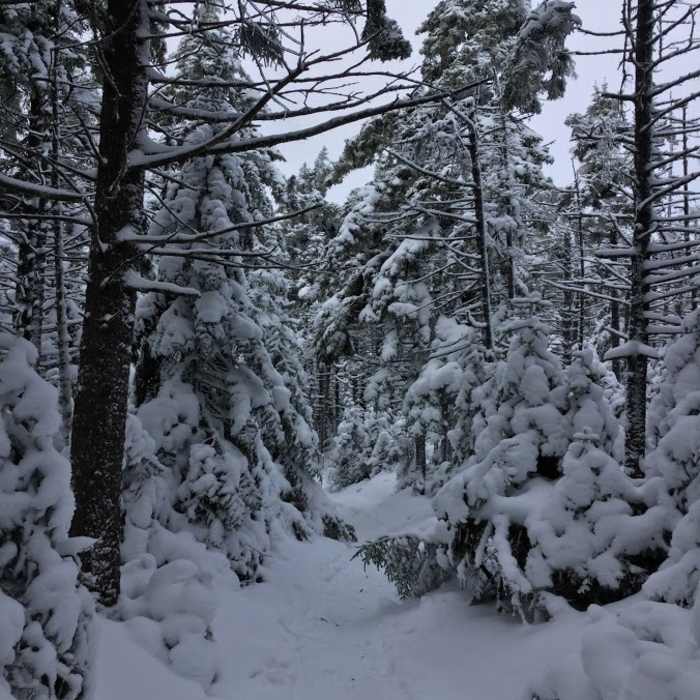 Near Hunter Mountain Loop