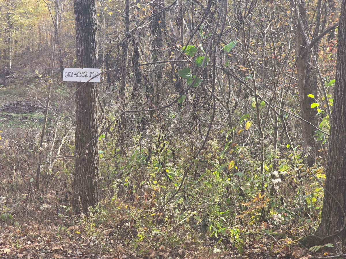 Cave Hollow Road photo 2