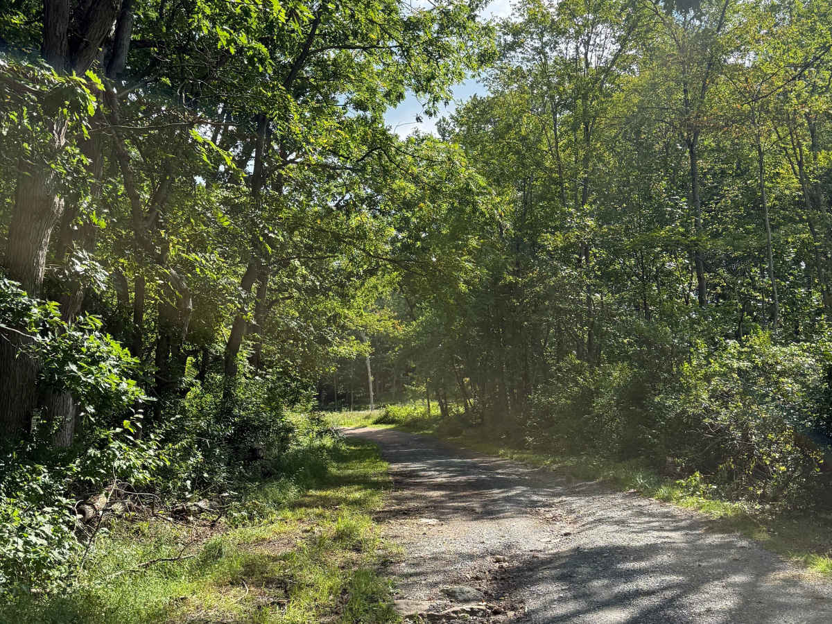 Sand Quarry Road trail photo