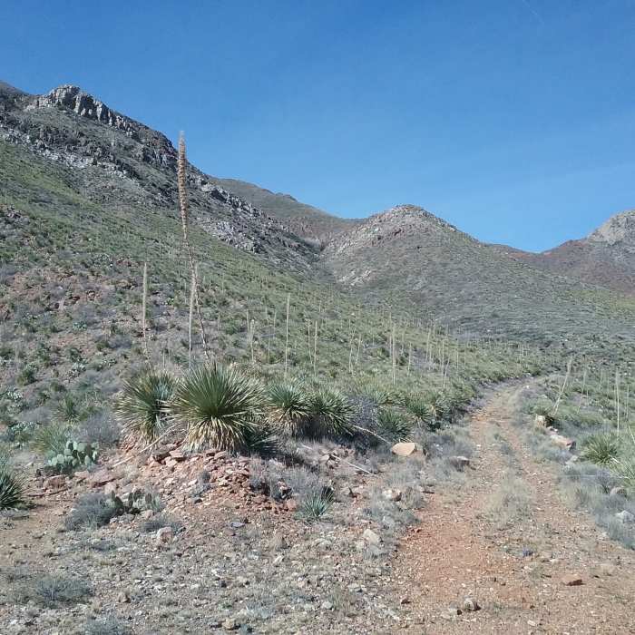 Near Spring View Spur