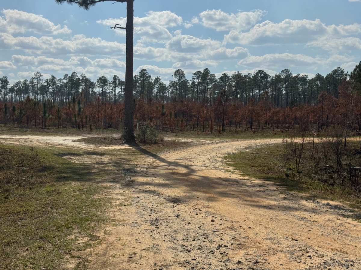 Morning Star Road trail photo