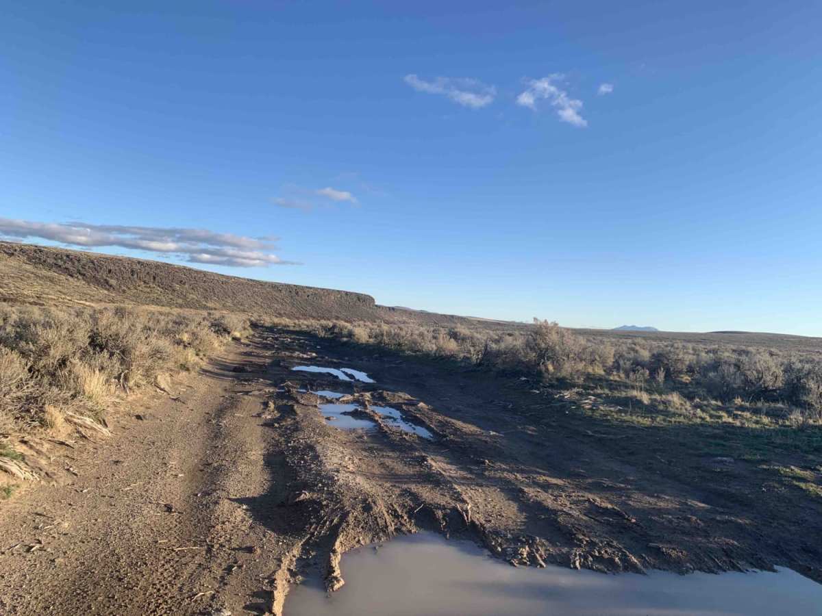 Whisky Slough Water Access trail photo