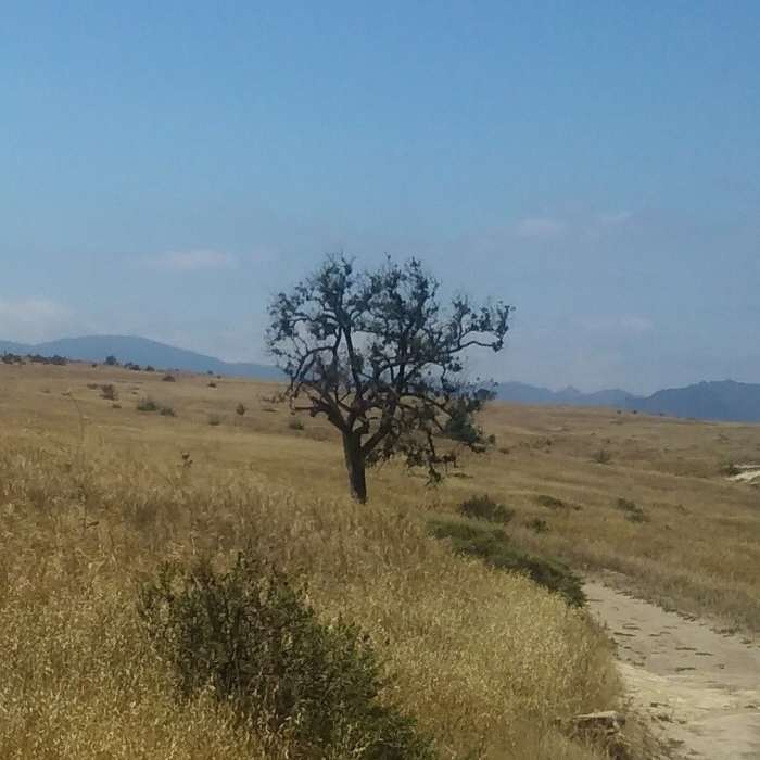Near Mary Weisbrock Loop Trail