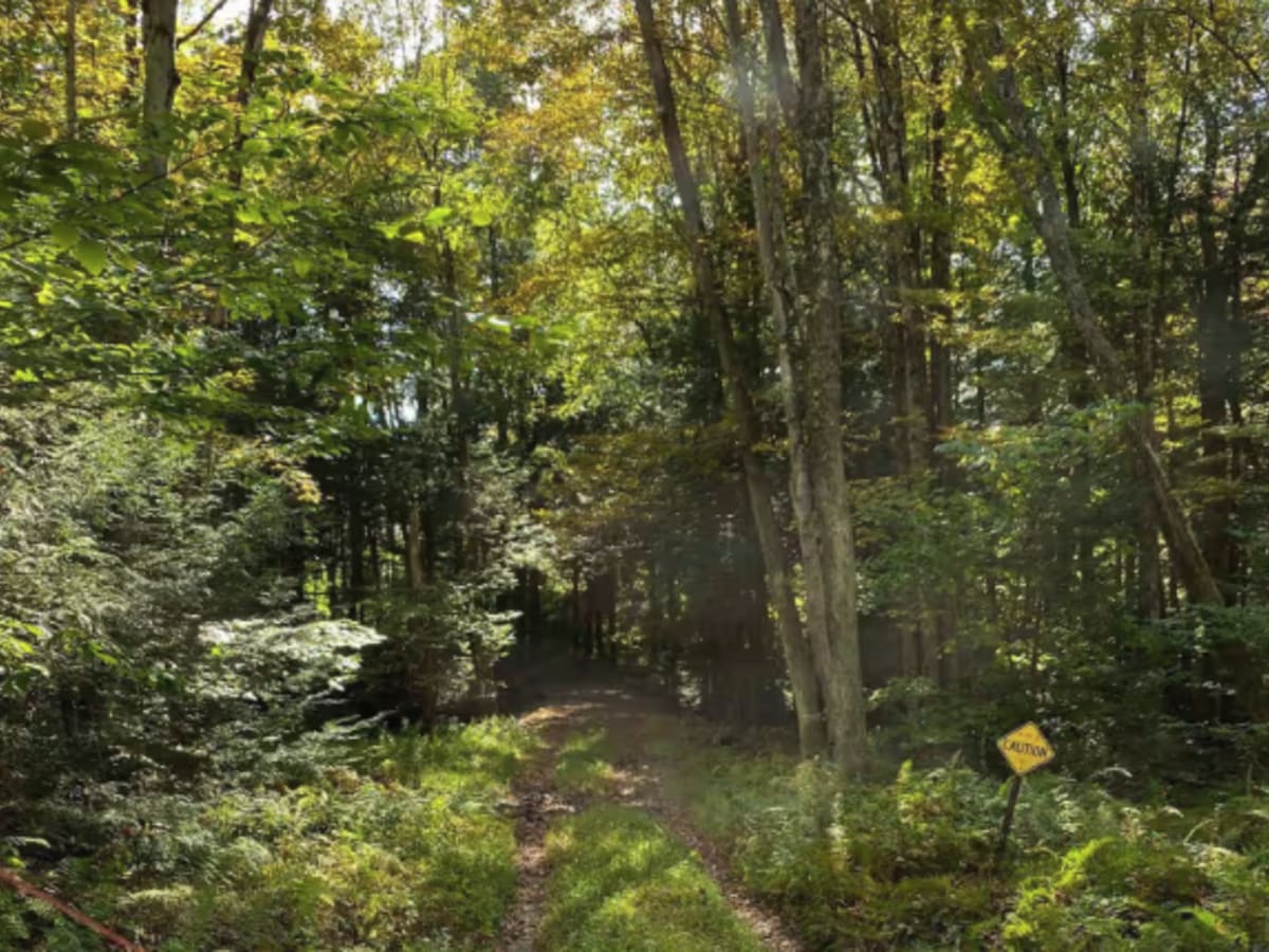 Loggers Trail photo 3