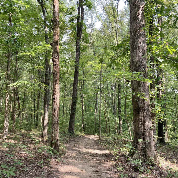 Near Perimeter Trail Near Perimeter Trail