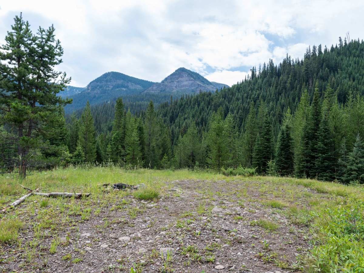 Moose Creek Road - FS 479 photo 6