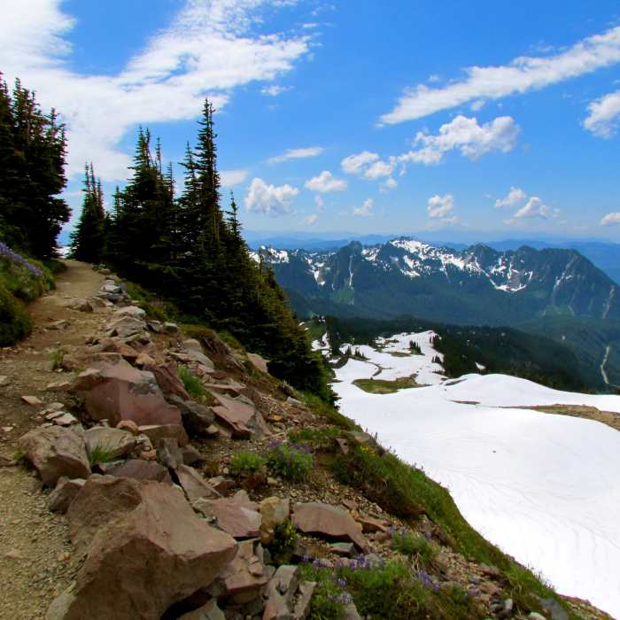 Near Lower Lakes Trail