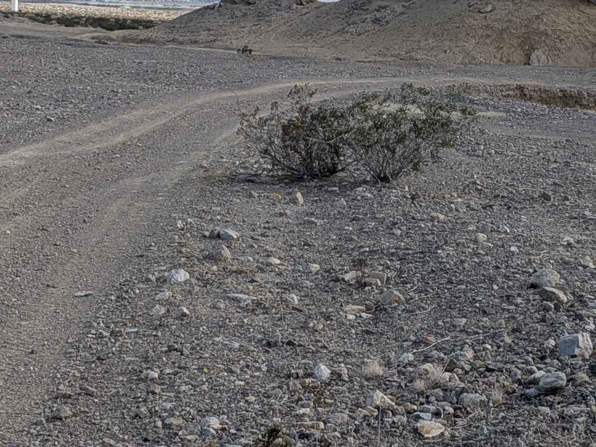 BLM 115 photo 2