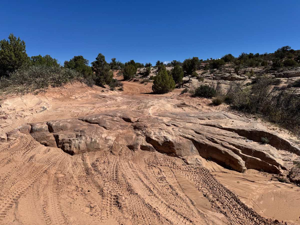 Kokopelli Yellow Jacket Canyon Section photo 5