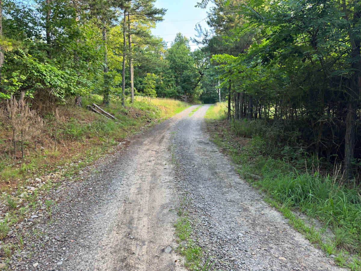 Williams trail photo