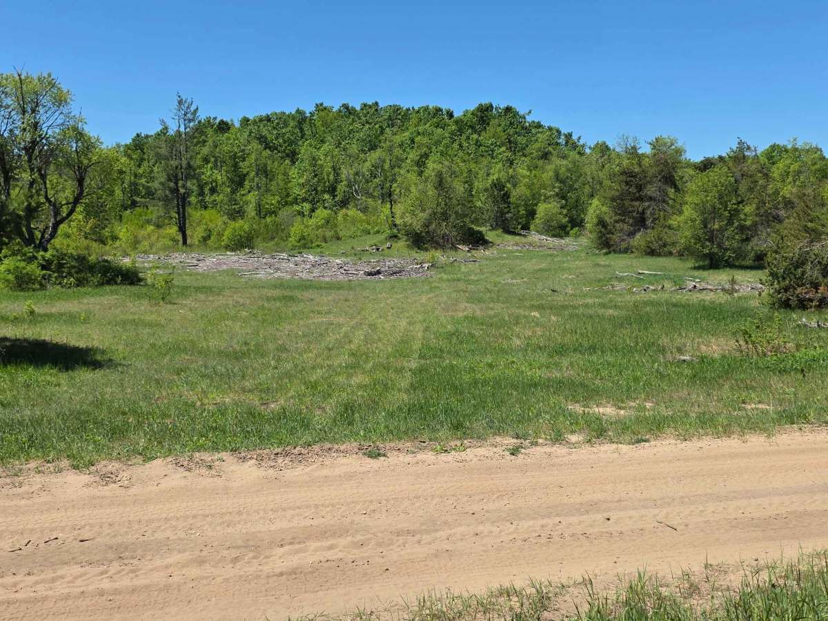 Wilber Hill photo 4