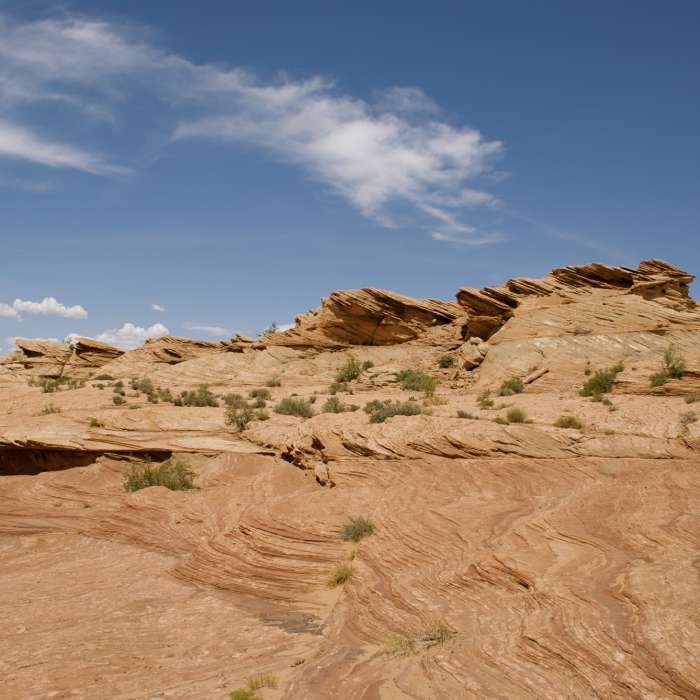 Near Rim Trail