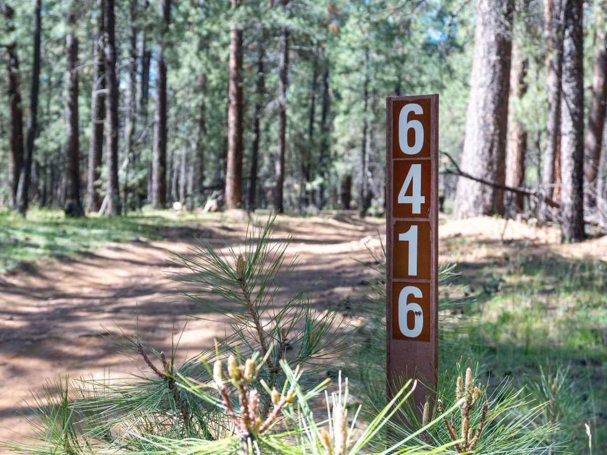 FS 6416 trail photo