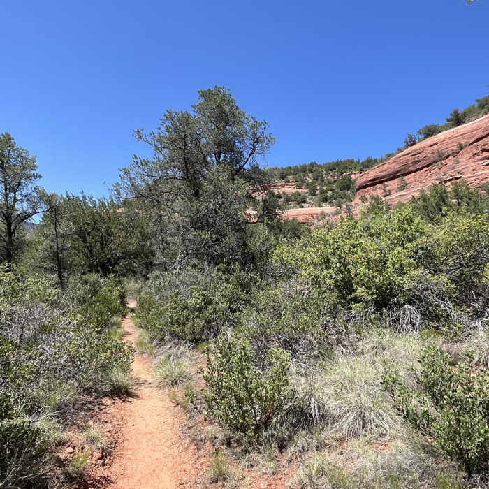 Near HS Canyon-Secret Canyon Loop