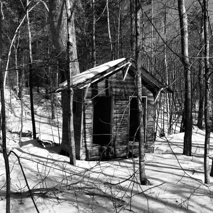 Near Hoosic Tunnel Loop Trail