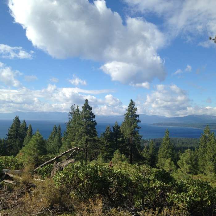 Near TRT: Brockway Summit to Tahoe Meadows