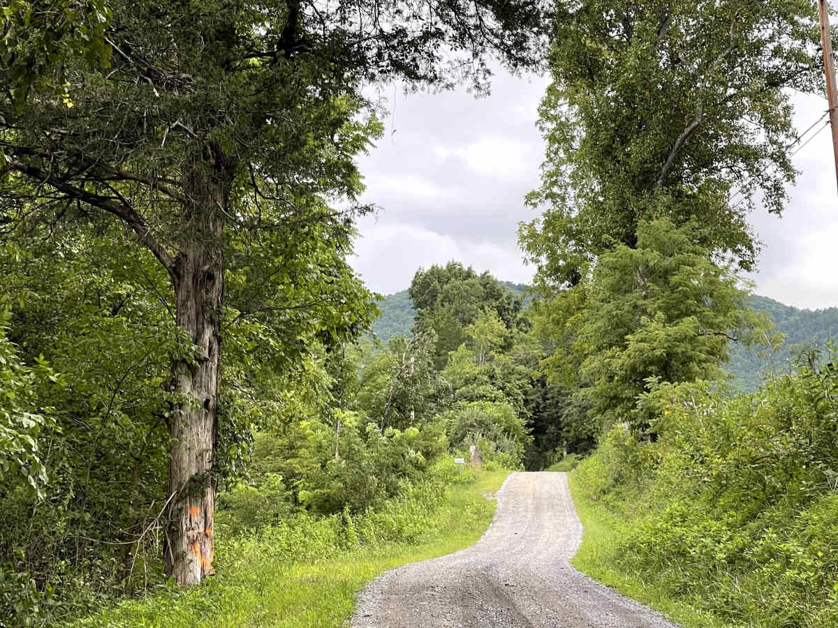 Allen Branch Road photo 4