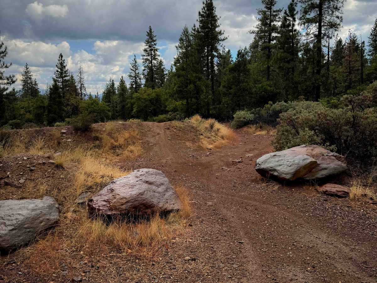 MX Track  trail photo