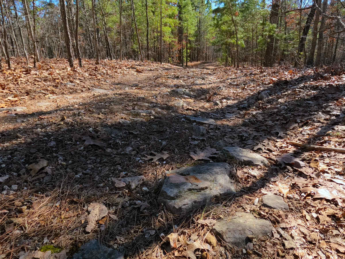 Kemlin Hollow - FS 2627 photo 5