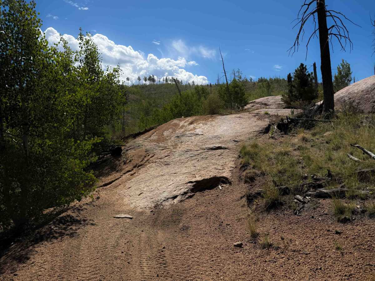 Signal Butte Trail 717 (Northwest Segment) photo 3