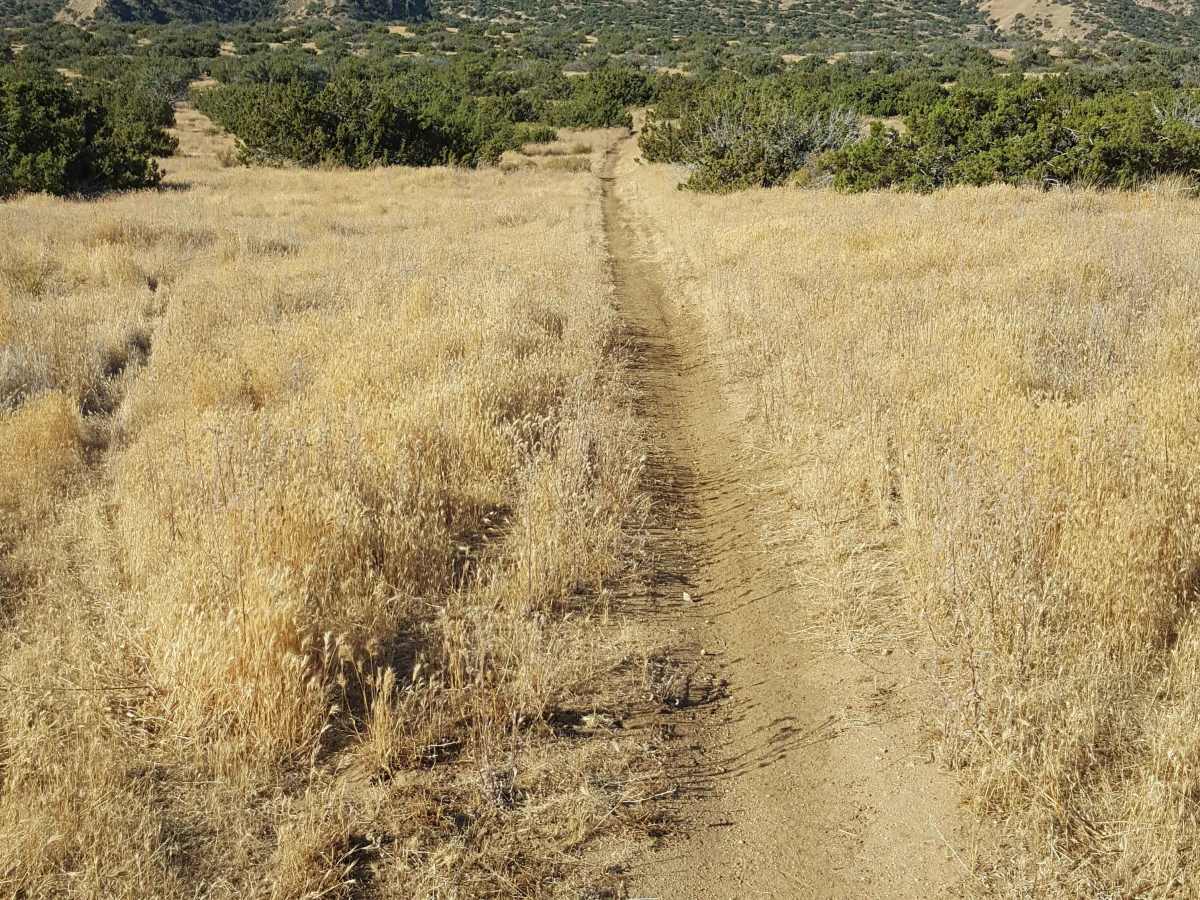 Trail 19 photo 4