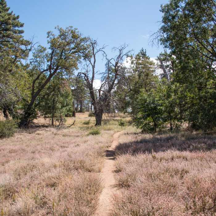Near Monument Peak Hike