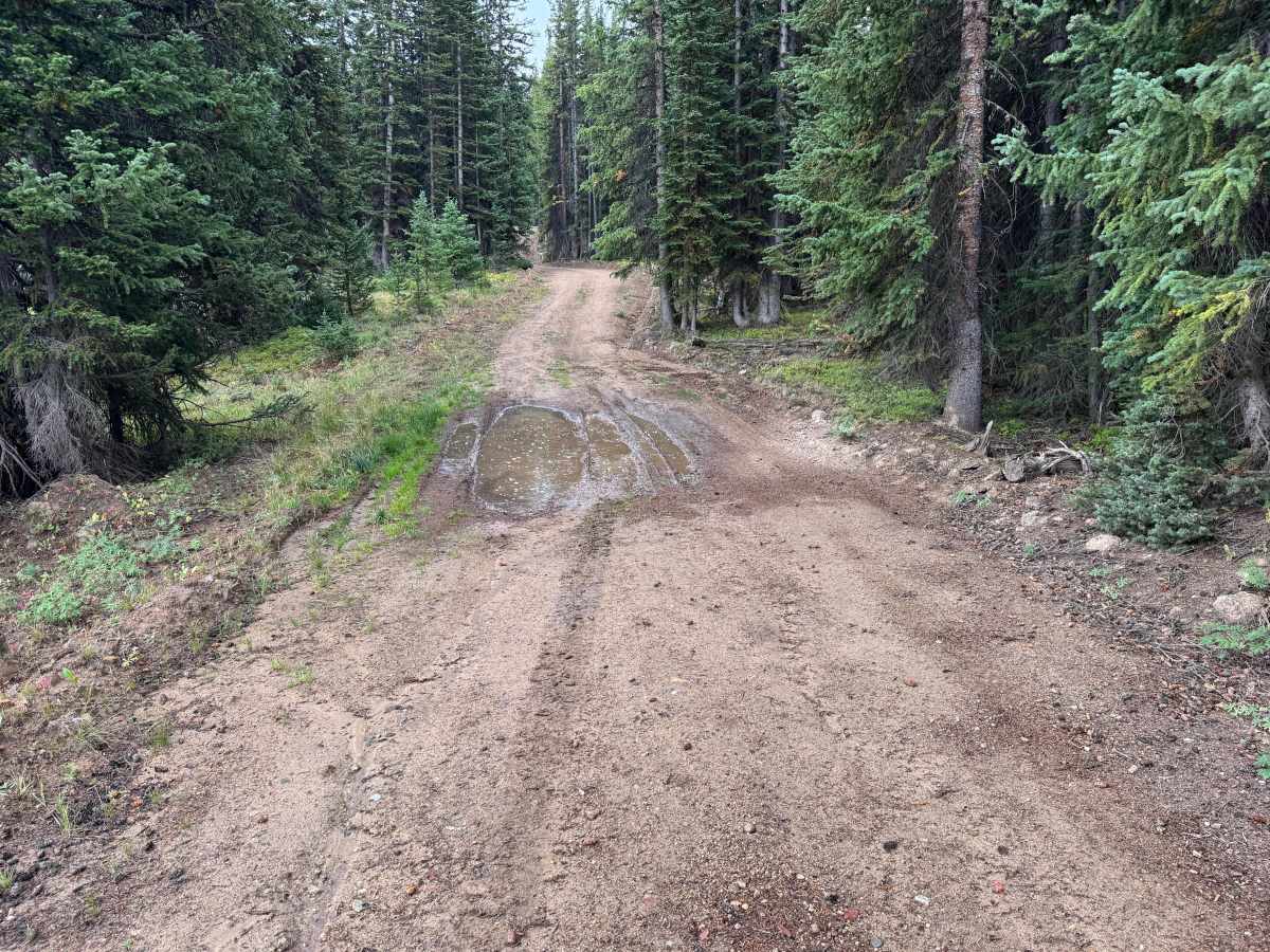 Porphyry Mountain Spur Road photo 3